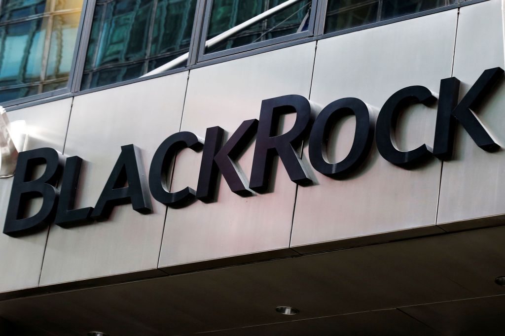 What if BlackRock and Vanguard were part of a master plan by the global economic elite to establish control over the world through a New World&nbsp;Order?
